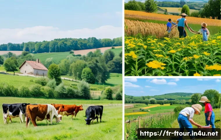 10 astuces incontournables pour réussir dans le tourisme rural et les startups agricoles en France 4 농촌관광지도사와 농업 스타트업 관련 이미지 2