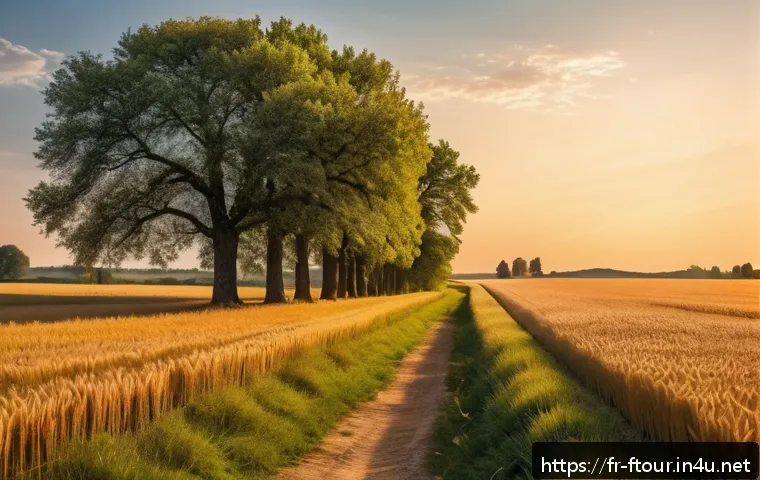 농촌관광지도사 업무 스트레스 관리법 - A serene rural landscape during golden hour, featuring gently rolling wheat fields swaying in the br...